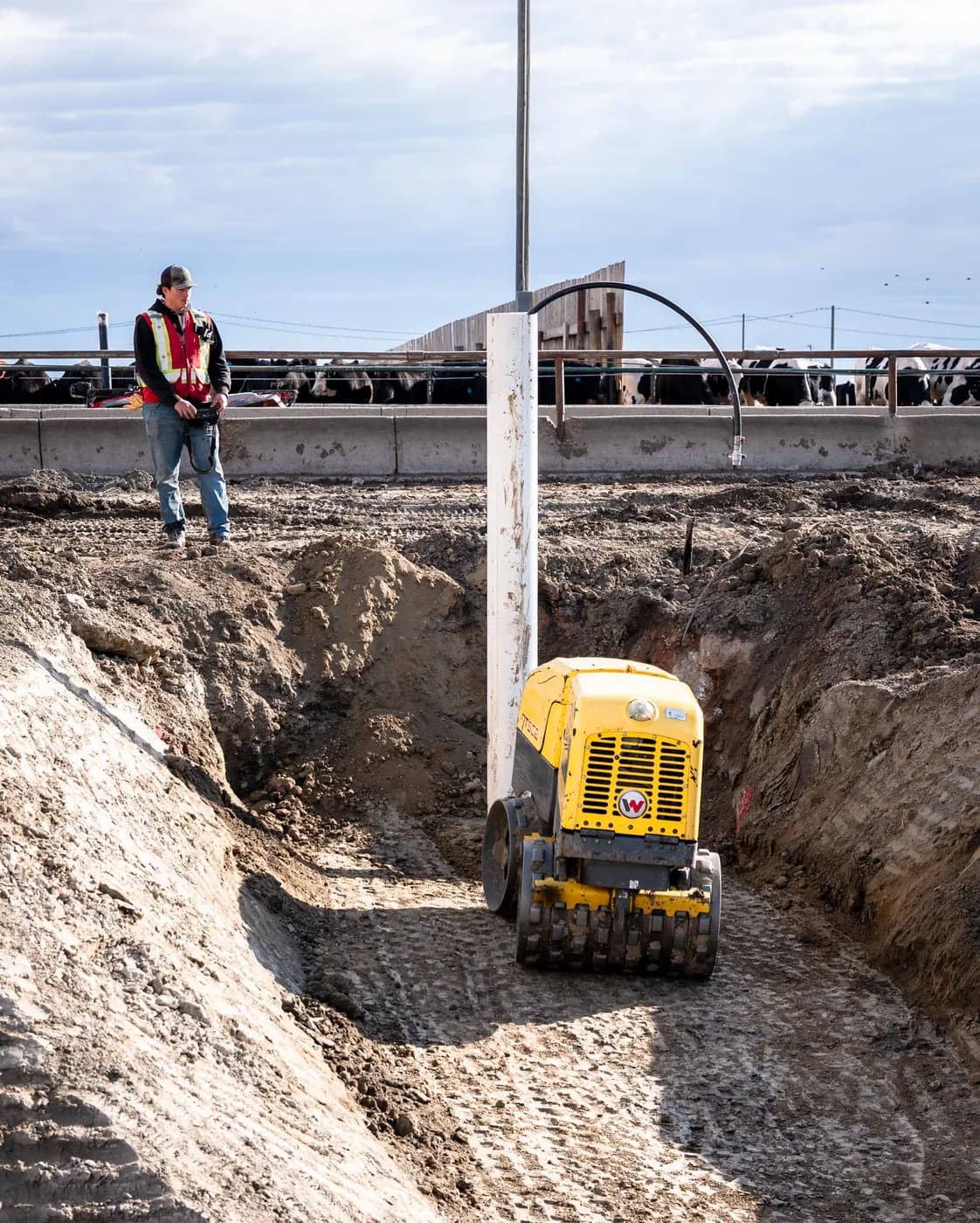 Subterrain crew member supervising trench compaction at a feedlot